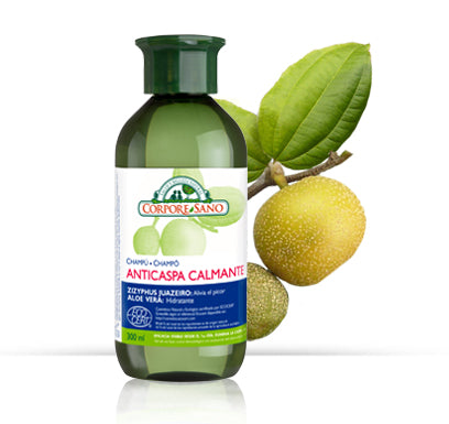 Ecocert Shampoo Hidratante Anti Caspa 300ml - Corpore Sano - Crisdietética
