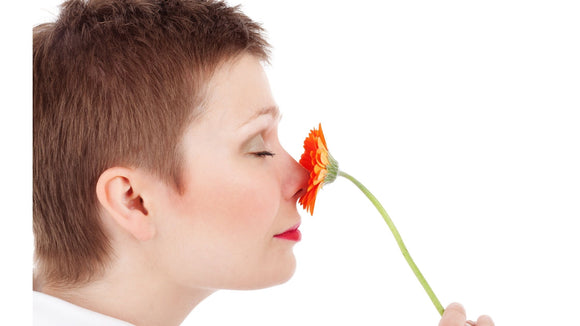 Óleos essenciais podem ajudar a recuperar perda de olfato pela COVID-19