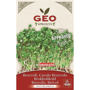 Organic Broccoli Seeds for Germinating 13g - Bavicchi - Crisdietética