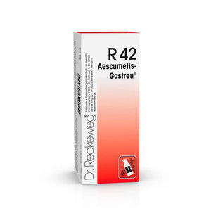Dr. Reckeweg R42 Tropfen zum Einnehmen 50 ml - Crisdietética