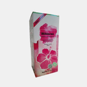 Hibiscus + Artichaut + Centella Asiatica 500ml - Secreto da Planta - Crisdietética