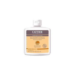 洗发水常用酸奶 250ml - Cattier - Chrysdietética