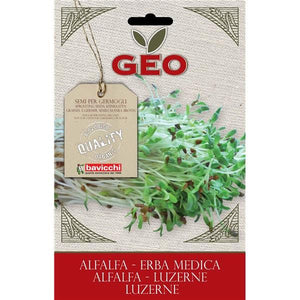 Seed to Germinate Alfalfa 30g - Bavicchi - Chrysdietética