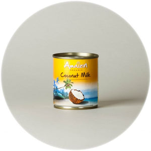 Coconut Milk Eco 200ml - Amaizin - Crisdietética