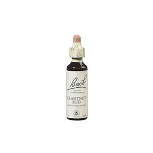 Bach Chestnut Bud Floral 20ml - Nelsons and Co - Crisdietética