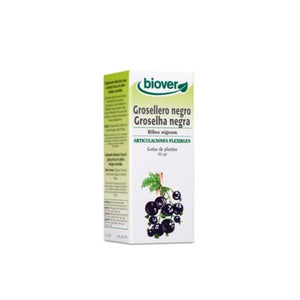 Stachelbeer Ribes Nigrum 50ml Flasche - Biover - Crisdietética