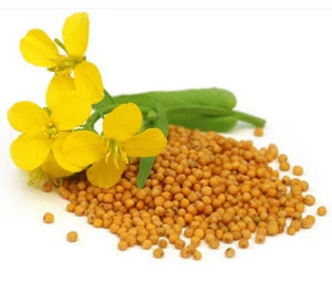 Black Mustard Grain 100g - Bioceutica - Crisdietética