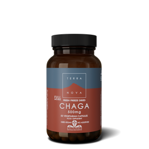 Chaga (espectro completo) 500 mg 50 cápsulas - Terranova - Chrysdietetic