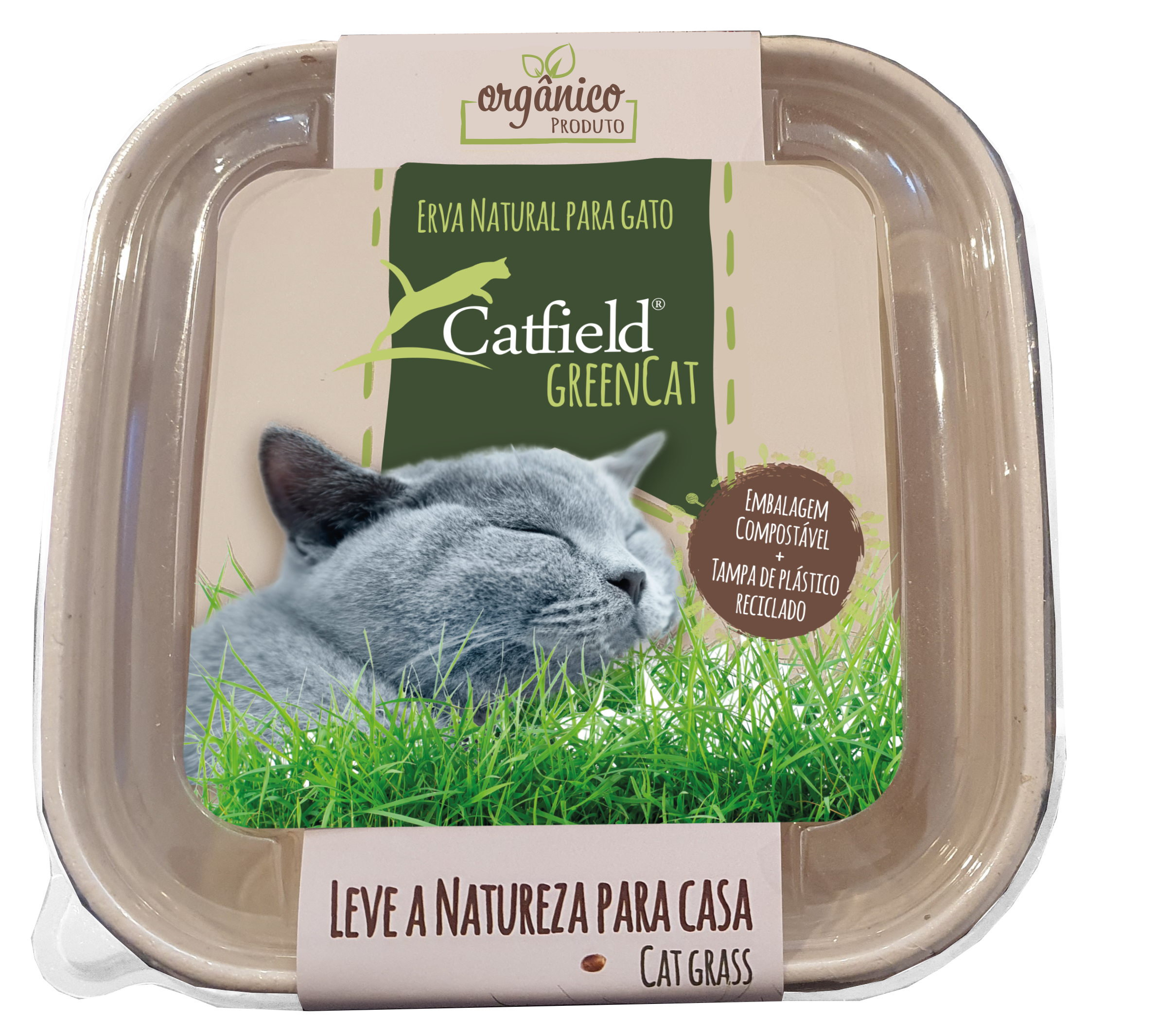 Gato verde de Catfield - Chrysdietetic