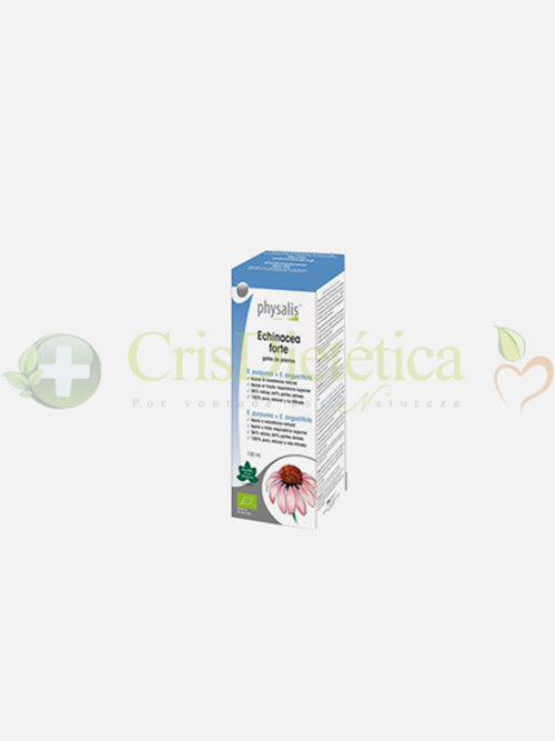 Echinacea Forte Gotas 100ml - Physalis - Crisdietética