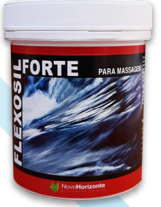 Flexosil Forte Gel 200 ml - Novo Horizonte - Crisdietética